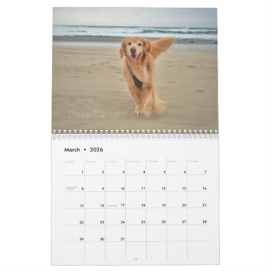 2021: Das Beste an ParkerPup Kalender (Mär 2026)