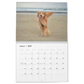 2021: Das Beste an ParkerPup Kalender (Mär 2027)