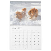 2021: Das Beste an ParkerPup Kalender (Jan 2027)