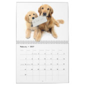 2021: Das Beste an ParkerPup Kalender (Feb 2027)