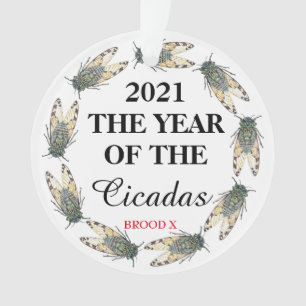 2021 DAS JAHR DER Cicadas und Brood X Ornament