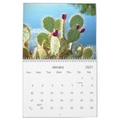 2021 Desert Beauty Calendar Kalender (Jan 2027)