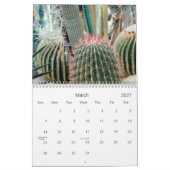 2021 Desert Beauty Calendar Kalender (Mär 2027)