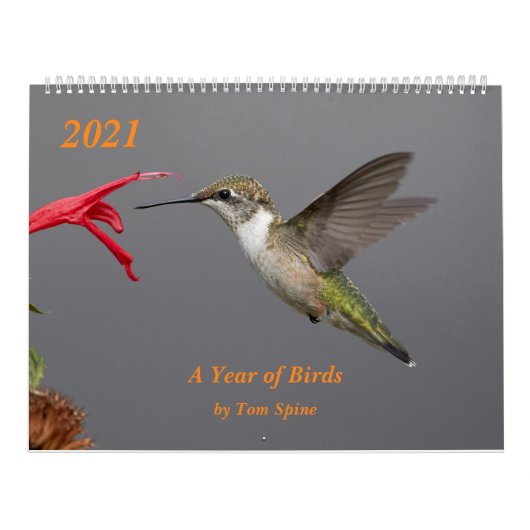 2021 ~ Ein Jahr des Vogelkalenders Kalender (Titelbild)