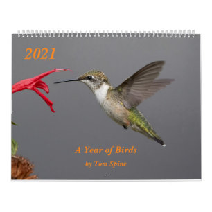 2021 ~ Ein Jahr des Vogelkalenders Kalender
