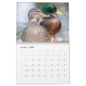 2021 Enten-Fotografie Kalender (Jan 2026)