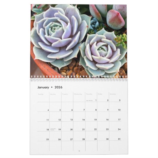 2021 Farbenfrohe Pflanze Garten Kalender (Jan 2026)