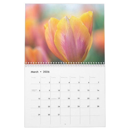 2021 Farbige Tulips Fotografie Kalender (Mär 2026)