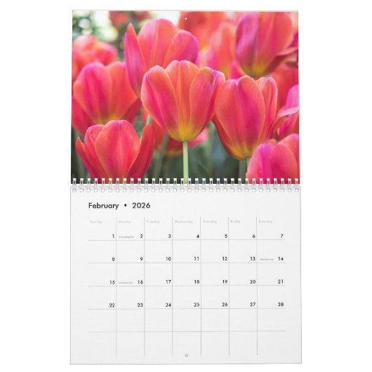 2021 Farbige Tulips Fotografie Kalender (Feb 2026)