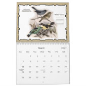 2021 Feathered Friends Bird Wall Calendar Kalender (Mär 2027)