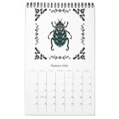 2021 Folk Art Bug Illustration Kalender (Jan 2026)