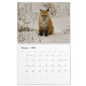 2021 Foto Kalender von Montana und Yellowstone NP (Feb 2026)