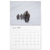 2021 Foto Kalender von Montana und Yellowstone NP (Jan 2026)