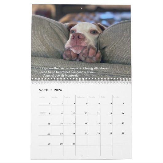2021 Hinweise für den Lebenskalender von PointerRe Kalender (Mär 2026)