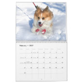 2021 Hudson der Fluffy Corgi Kalender (Feb 2027)