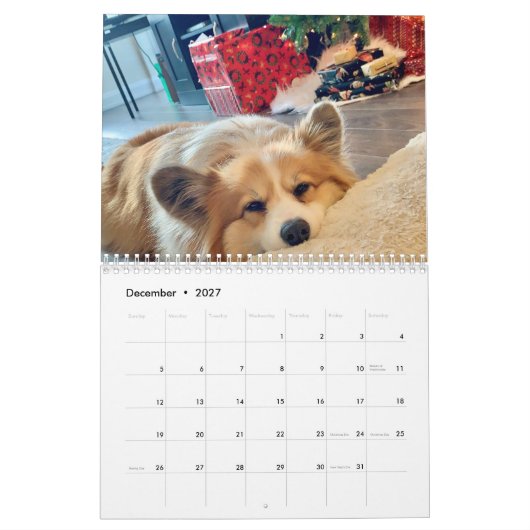 2021 Hudson der Fluffy Corgi Kalender (Dez 2027)