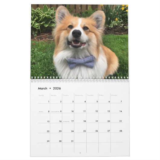 2021 Hudson der Fluffy Corgi Kalender (Mär 2026)