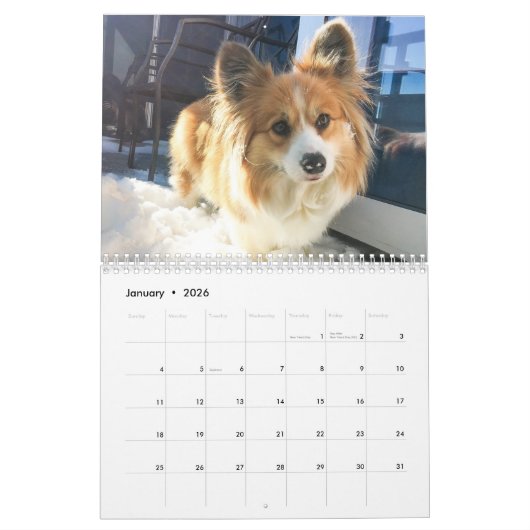 2021 Hudson der Fluffy Corgi Kalender (Jan 2026)