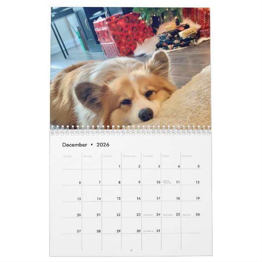 2021 Hudson der Fluffy Corgi Kalender (Dez 2026)