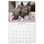 2021 Jade & Jasper, der Kalender des verkauften GS (Jan 2027)