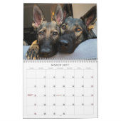 2021 Jade & Jasper, der Kalender des verkauften GS (Mär 2027)