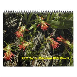 2021 Kalender der Wildblume Sierra Mountain