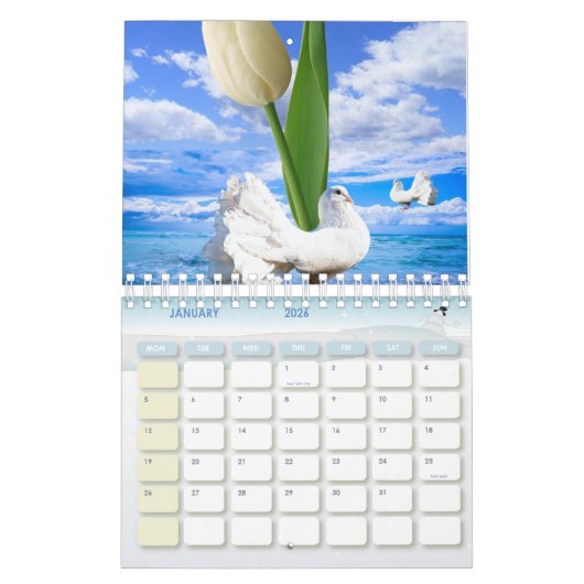 2021 Kalender farbenfroh (Jan 2026)