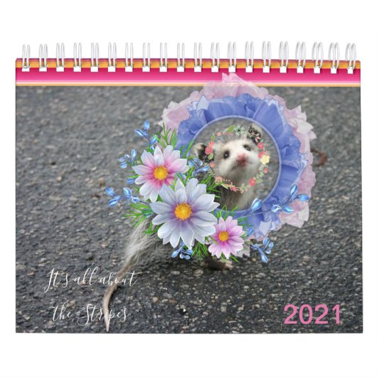 2021 Kalender Farbenfrohe Streifen Opossum (Titelbild)