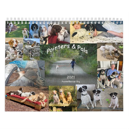 2021 Kalender für Zeiger und Bilder von PointerRes (Titelbild)