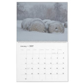 2021 Kalender von Scott Bosworth Fotografie (Jan 2027)