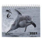 2021 Kalender - Weißer Thunfisch (Titelbild)