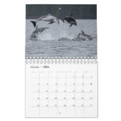 2021 Kalender - Weißer Thunfisch (Jan 2026)