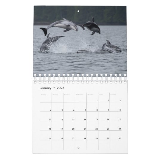 2021 Kalender - Weißer Thunfisch (Jan 2026)