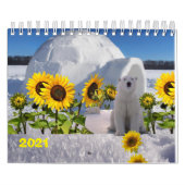2021 Kalenderpolarbär Kalender (Titelbild)