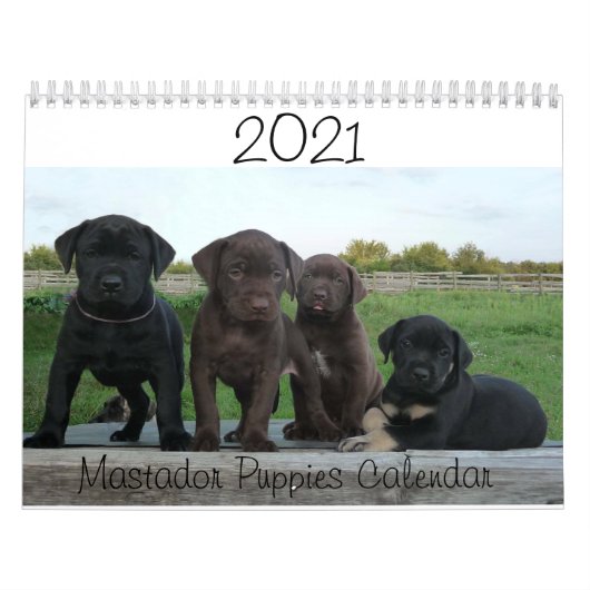 2021 Mastador Puppies-Kalender Kalender (Titelbild)