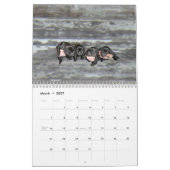 2021 Mastador Puppies-Kalender Kalender (Mär 2027)