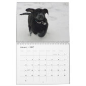2021 Mastador Puppies-Kalender Kalender (Jan 2027)