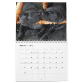 2021 Mastador Puppies-Kalender Kalender (Feb 2027)