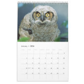 2021 Mauer von Naturschätzen Kalender (Jan 2026)