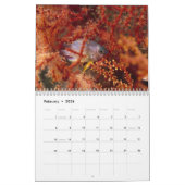 2021 Meeres-Fisch- und Meereslebenskalender Kalender (Feb 2026)