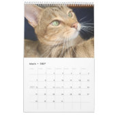 2021 Petals Feather & Friends Kalender (Mär 2027)