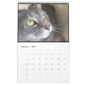 2021 Petals Feather & Friends Kalender (Feb 2027)