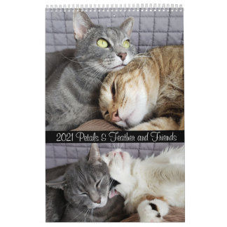 2021 Petals Feather & Friends Kalender