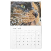 2021 Petals Feather & Friends Kalender (Jan 2026)