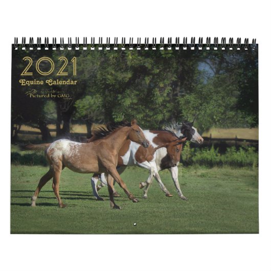 2021 Pferdekalender Foto Kalender (Titelbild)