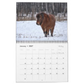 2021 Pferdekalender Foto Kalender (Jan 2027)