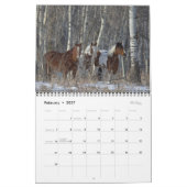 2021 Pferdekalender Foto Kalender (Feb 2027)