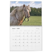 2021 Pferdekalender Foto Kalender (Mär 2027)