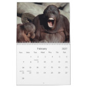 2021 Primats - Kalender der Naturfotografie (Feb 2027)