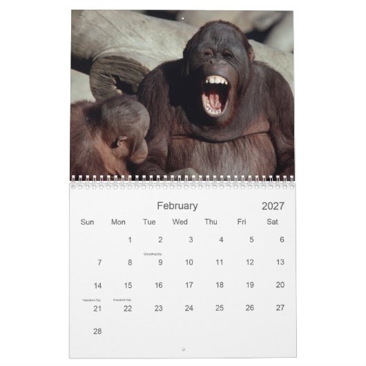 2021 Primats - Kalender der Naturfotografie (Feb 2027)